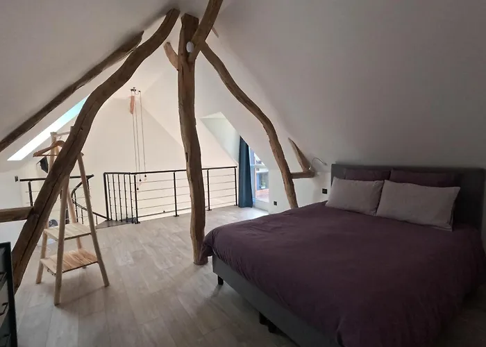 La Dependance D'en Face 住宿加早餐酒店 3*